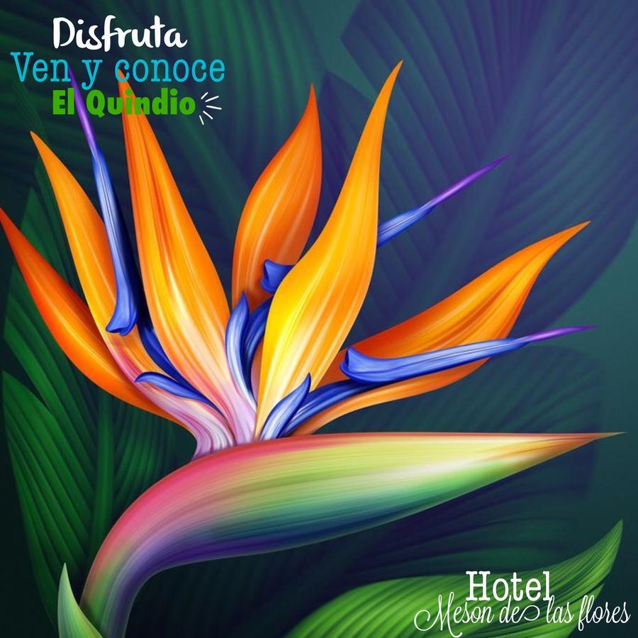 Hotel Meson De Las Flores Armenia  Exterior foto